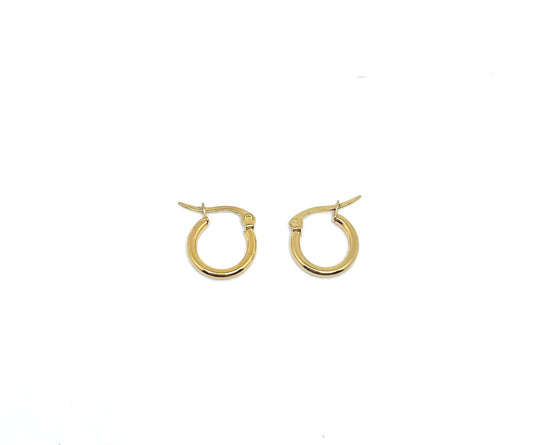 Hook earrings